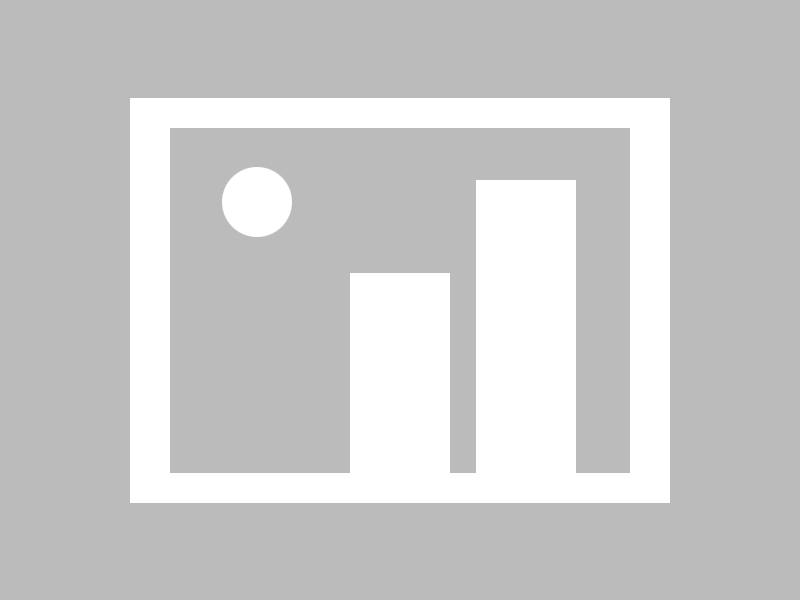 2025年天天彩免费大全 专家点评！2023年北京市初中学业水平考试语文试卷权威解析