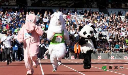 kaiyun官方网app下载app 校运动会新闻稿