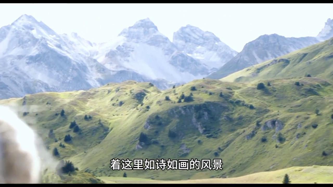 小海蒂问题_小海蒂练习_小海蒂书籍