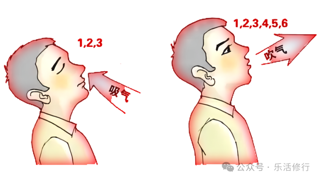 练念力的技巧_练习意念力_意念力九个训练方法视频