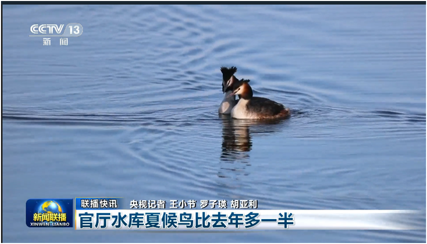 新闻节目片头曲_新闻节目片头_新闻节目片头文案