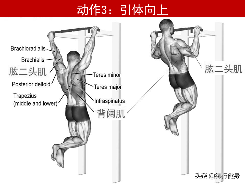 单杠二练习训练方法_训练单杠的训练方案_单杠如何训练方法