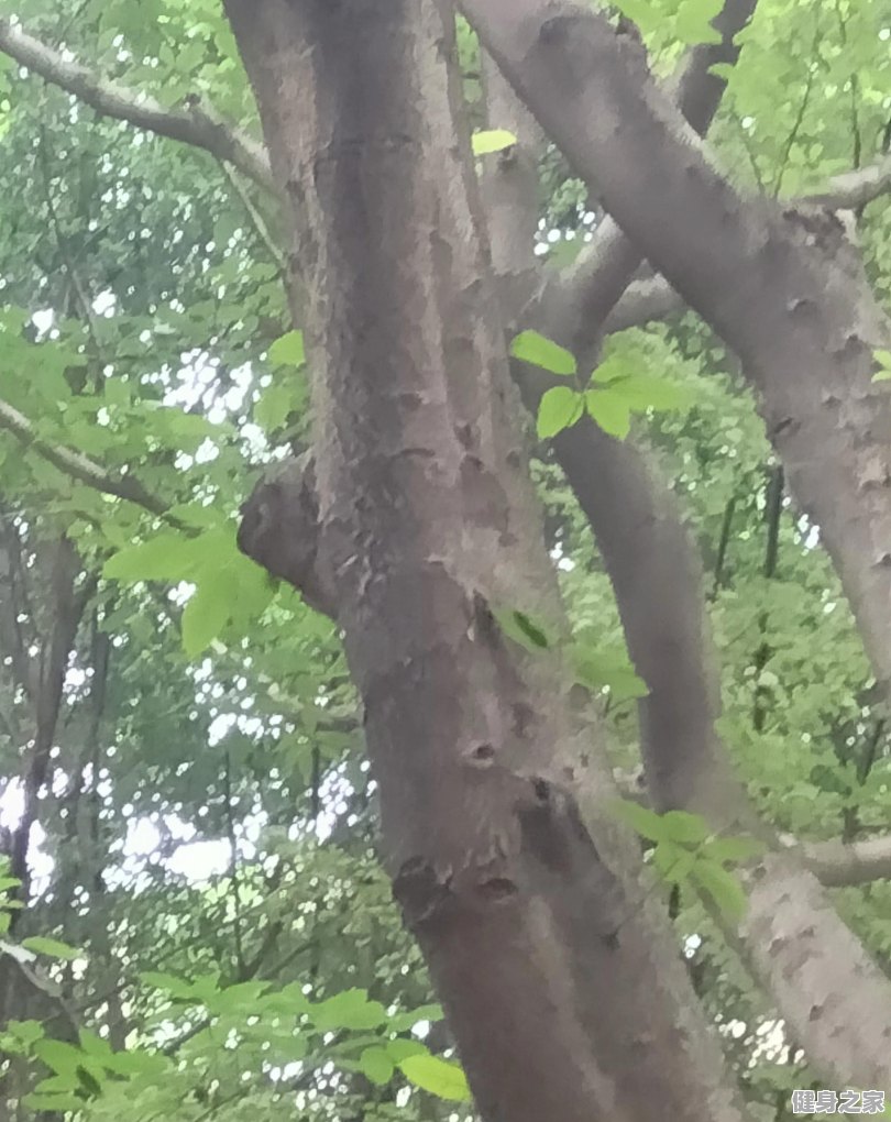 kaiyun下载app下载安装手机版 适合健身后吃的东西