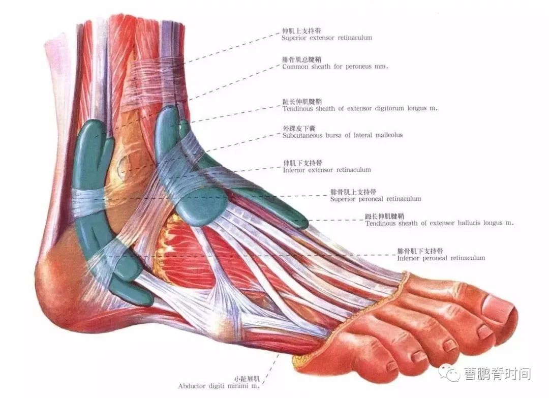 健身手套紧的好处_手套太紧会怎么样_健身手套越紧越好吗