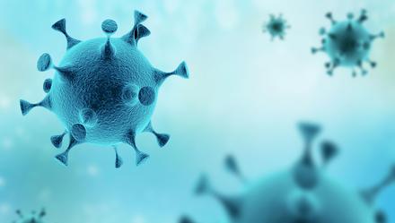 央视新闻批评b站_新闻批评联播国家不管吗_新闻联播从不批评国家