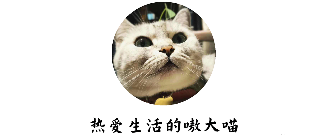 家用跑步机什么牌子好_家用跑步机什么牌好知乎_家用跑步机谁家的比较好