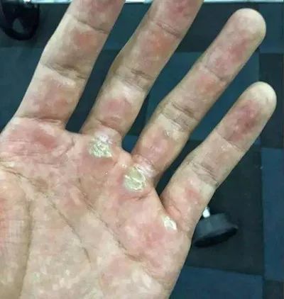 健身手套新鲁鹰_新鲁鹰手套_harbinger健身手套