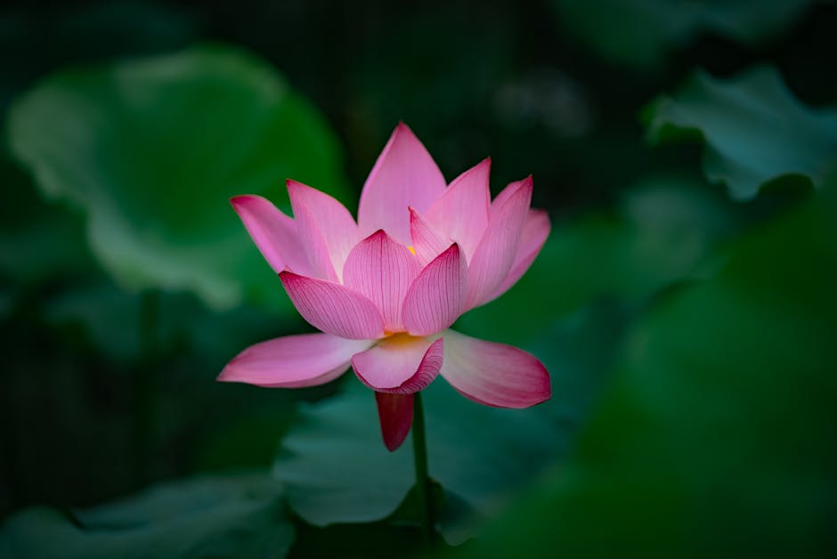 2020年动力电池产业链_分析我国动力电池产业想要有所突破_2020动力电池产业发展报告