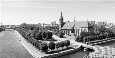 数学界的无冕之王_哪位数学家是数学界的无冕之王_数学家无冕之王