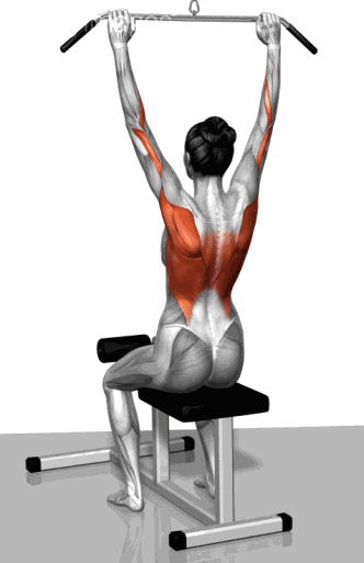 开元ky888棋牌官网版 健身房各种器械锻炼的都是哪些肌肉群？看图解，一目了然！