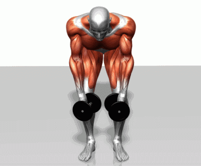 综合训练器 胸肌_器械练胸_胸肌训练器怎么用