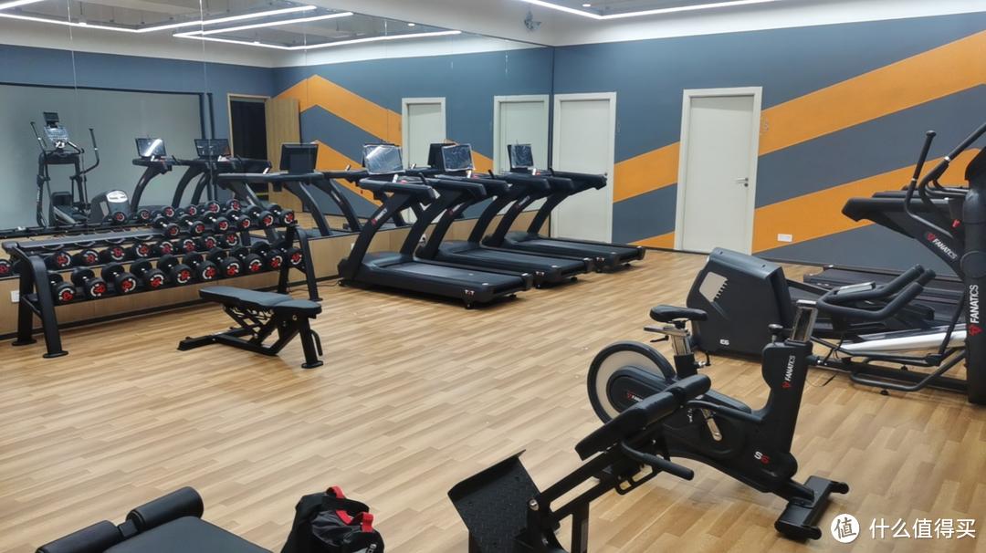 综合训练器 史密斯机_史密斯综合训练器使用方法_史密斯机综合训练器哪个牌子好