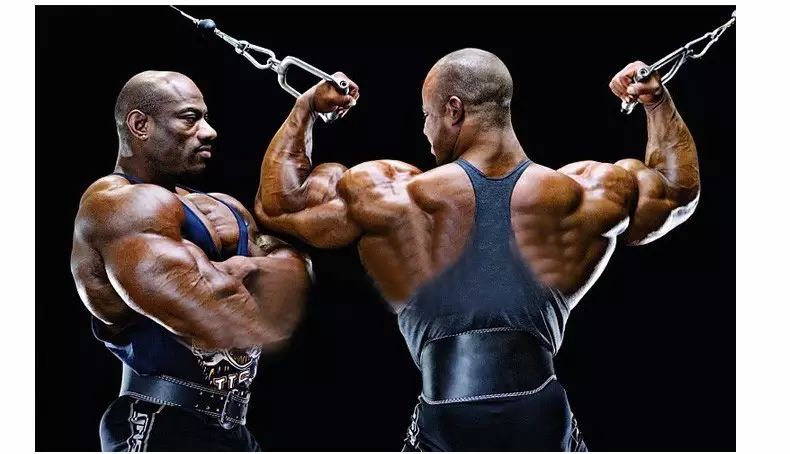 手套健身作用是什么_健身手套的作用_手套健身作用与功效