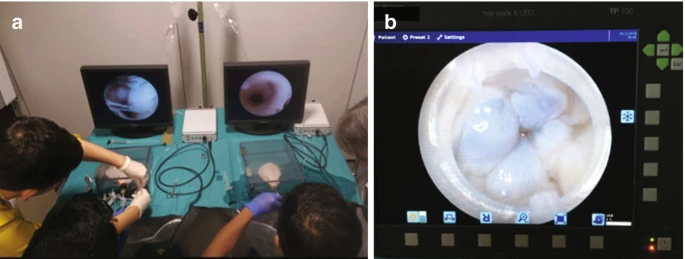 开yun官网入口登录APP下载 功能性泌尿外科模拟