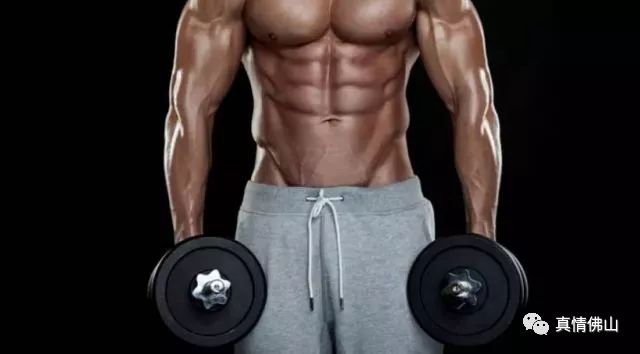 单人站综合训练器安装视频_单人站综合训练器使用_单人机器人