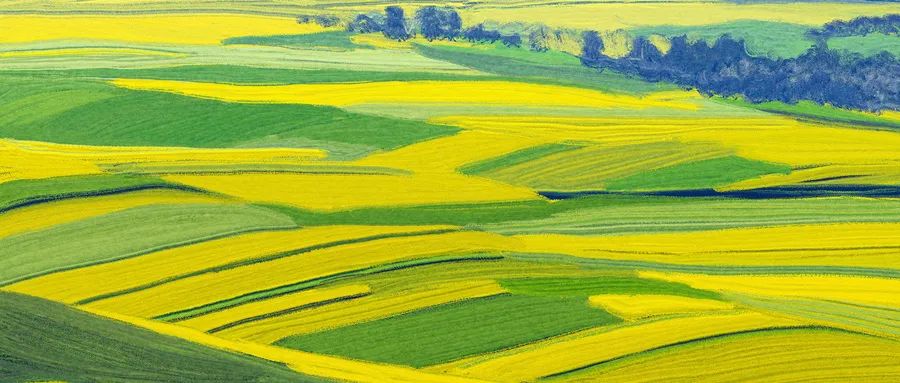 简单英语对话练习_英语对话训练简单_对话英语模板