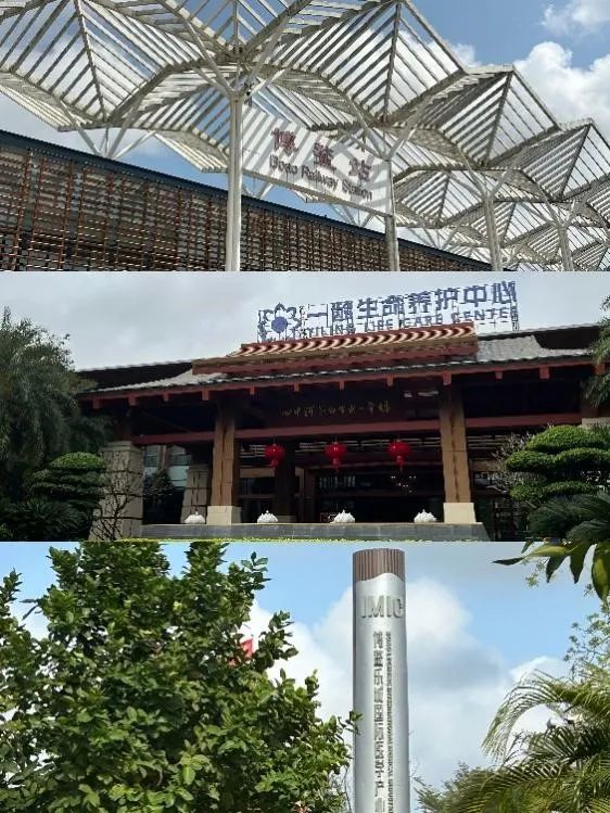 反重力跑步鞋_alterg反重力跑步机官网_反重力跑步机 中国