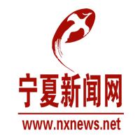 开元棋官方正版下载 宁夏“瘦身经济”激活多元“减”法