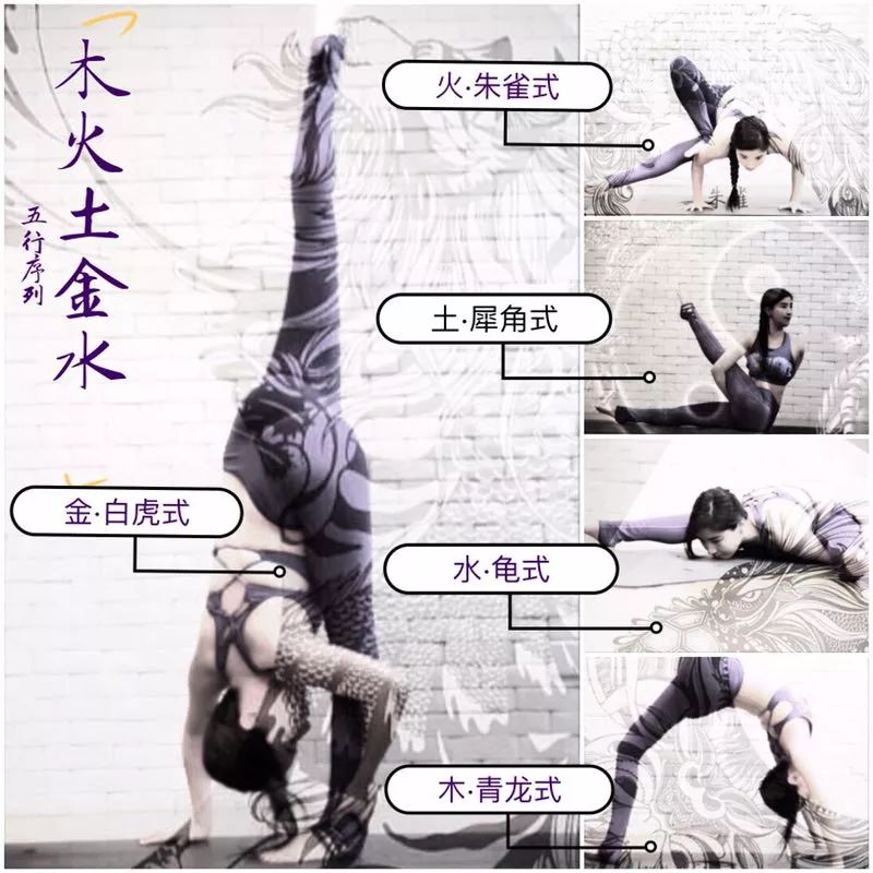 开元ky888棋牌官方版 九七体式轨迹深度训练法答疑汇总|元和堂