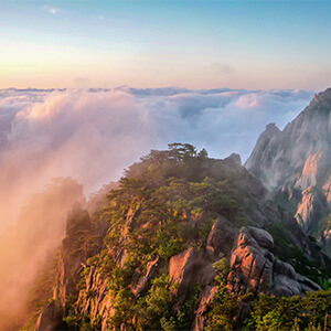 工伤备案情况说明格式_予以矿工的情况说明怎么写_公司拖欠工资劳动局情况说明怎么写