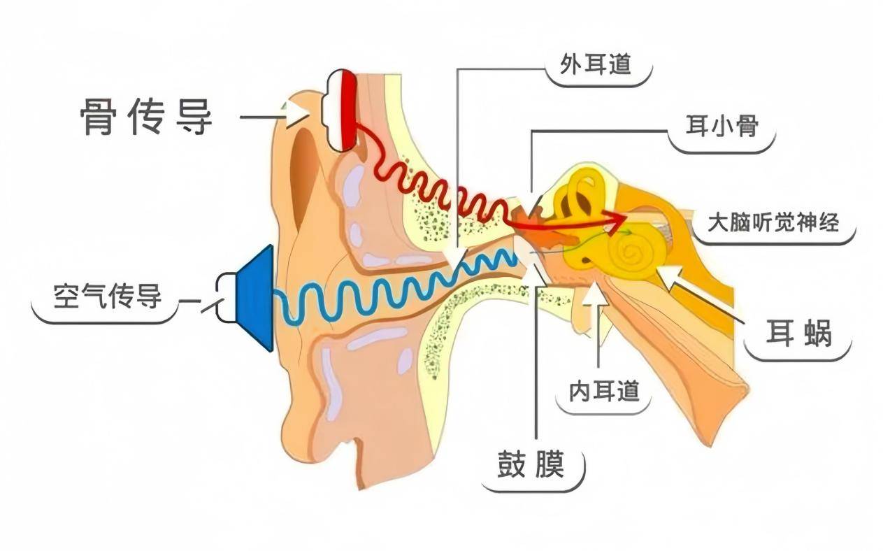 骨传导耳机选购指南_运动耳机推荐_综合训练器十大品牌