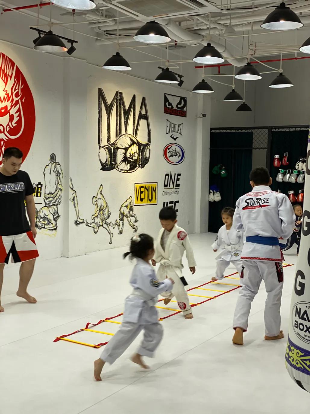 龙门综合训练器_龙门架训练器使用图解_龙门式机体的优缺点