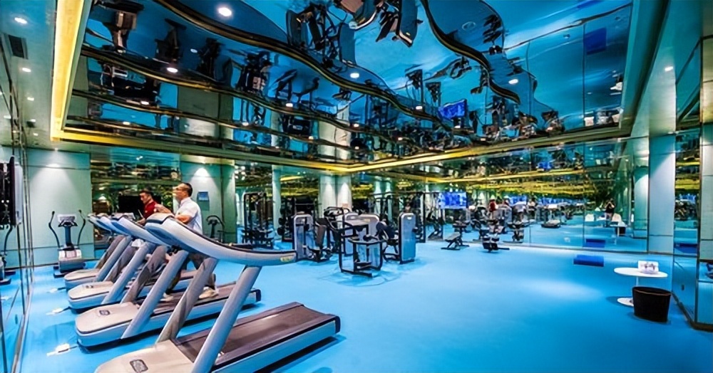 小飞鸟训练器选购要点_多功能健身器材推荐_大飞鸟综合训练器