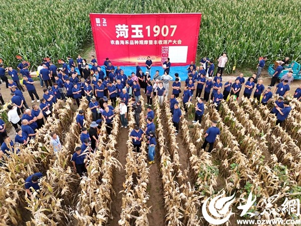 开元棋app官方下载 丰收节，看招远 | 春播亩产突破1900斤！农鑫海禾新品种现场测产会捷报频传