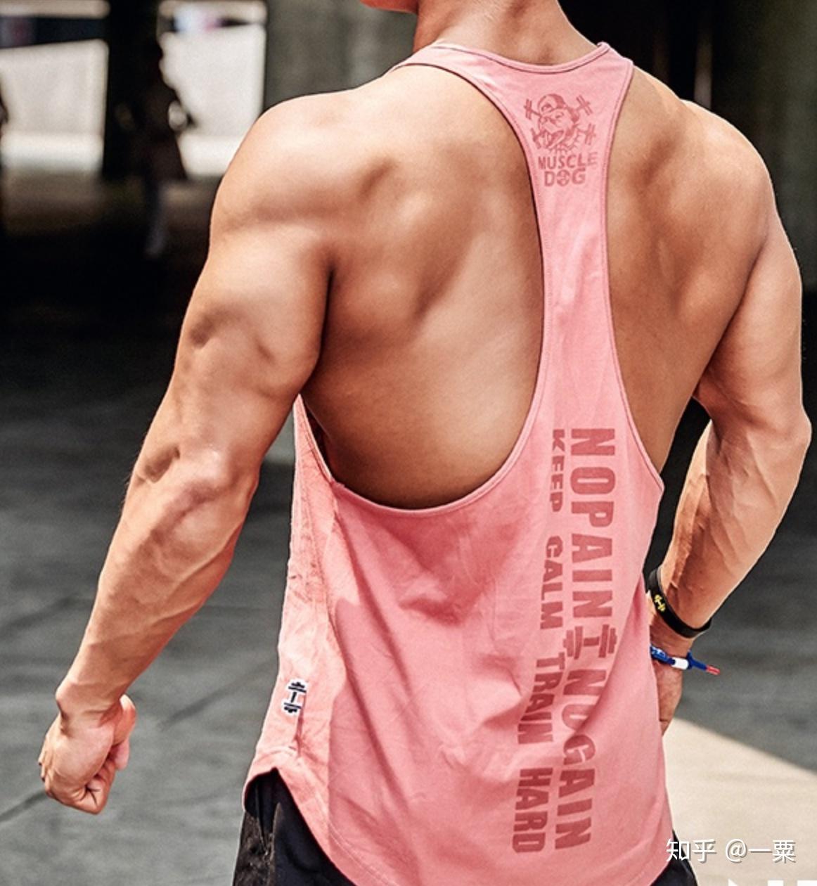 健身手套 知乎_知乎健身手套_健身手套