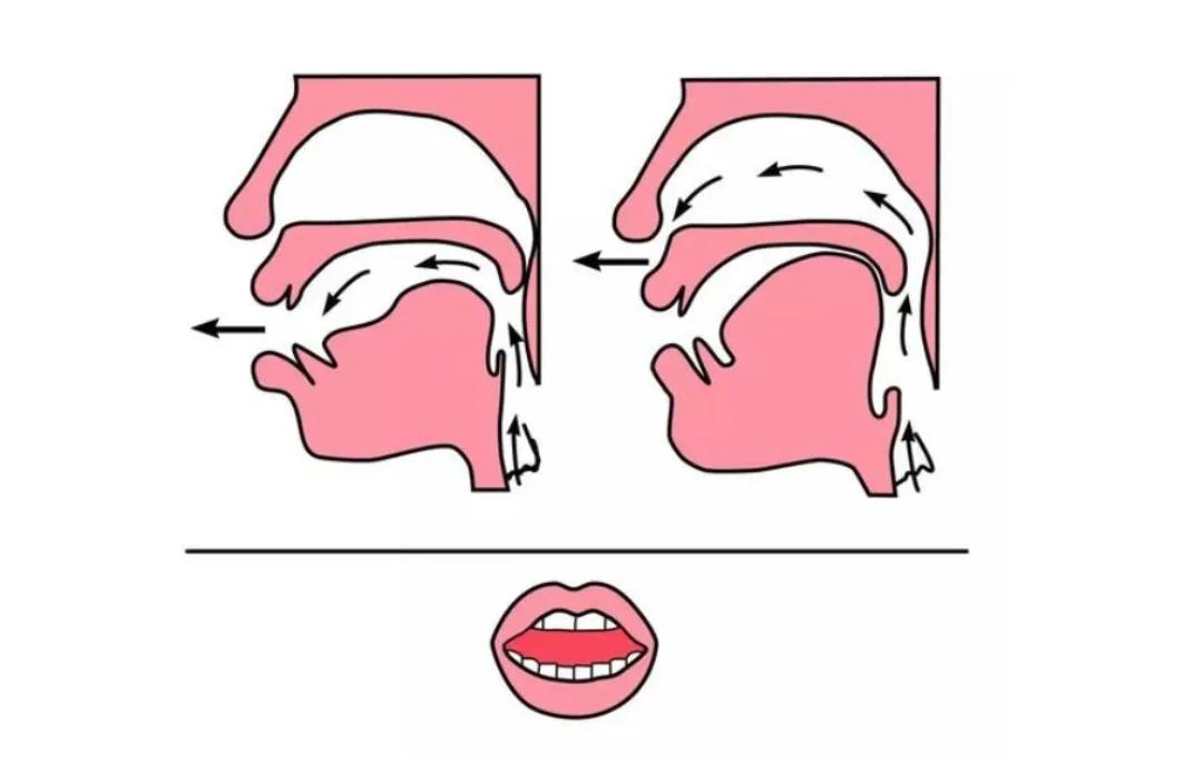 翘舌音与平舌音区分_普通话声韵规律_平舌音和翘舌音练习