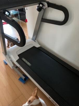 跑步机什么牌子好家用跑步机质量排名_舒华跑步机E6报价_舒华跑步机E6产品参数