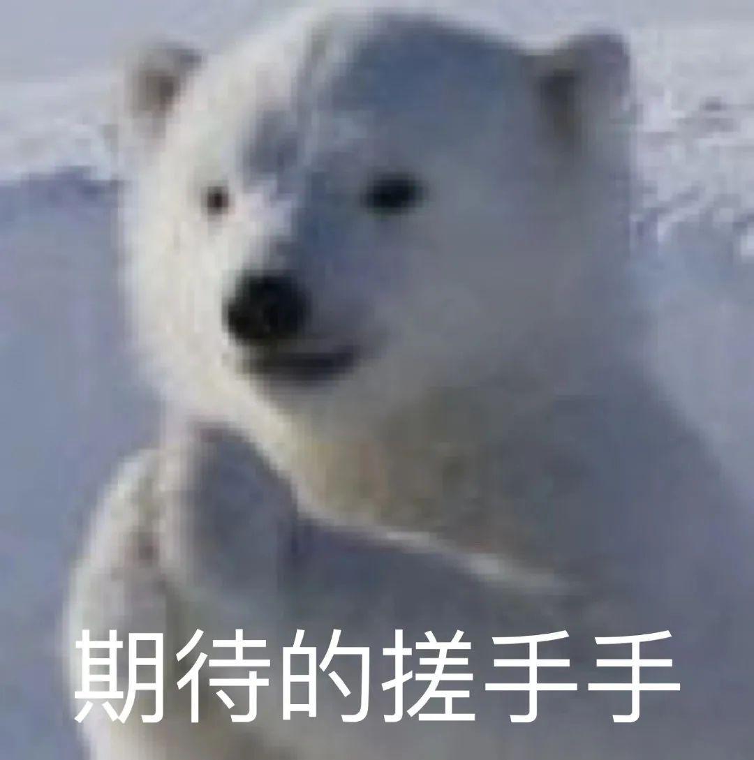 牌子跑步机好用吗_跑步机哪个牌子更好_跑步机什么牌子好?