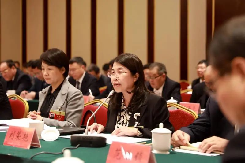 体会报告政府工作2025年_政府工作报告2025体会_政府工作报告体会1500字