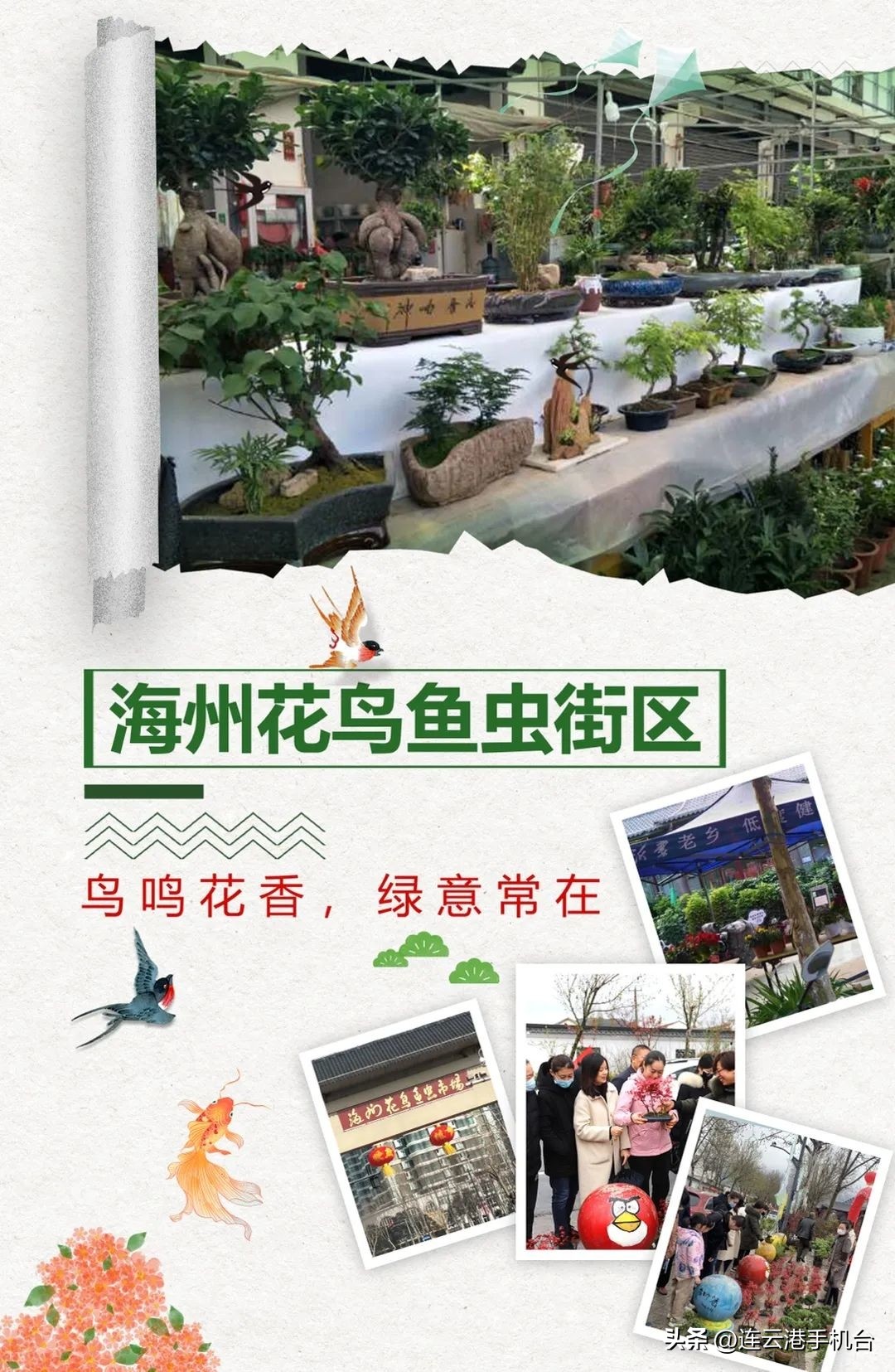 连云港海州区商业街美食美景_民主路老街历史文化_连云港市港城一品