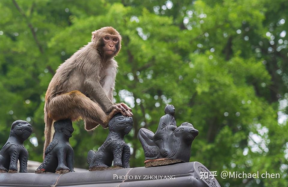 连云港旅游景点介绍_连云港最佳旅游路线_连云港市港城一品