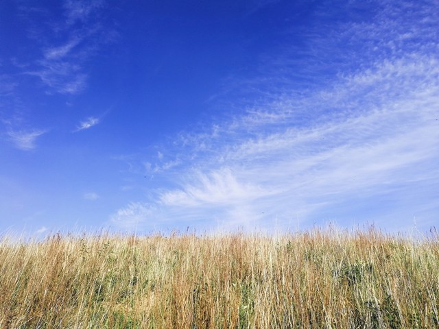 新闻稿件结构分析_写稿方法_新闻宣传技巧