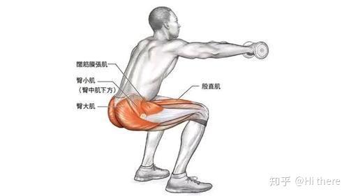 健身入门词汇_健身手套什么品牌好_健身解剖词汇