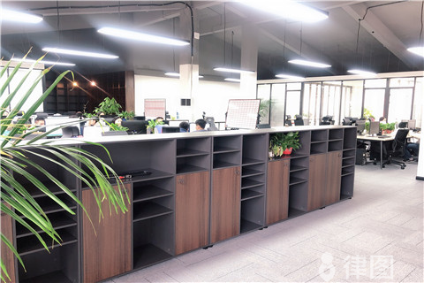 新奥天天彩最精准大全 公司法定代表人可以是谁？