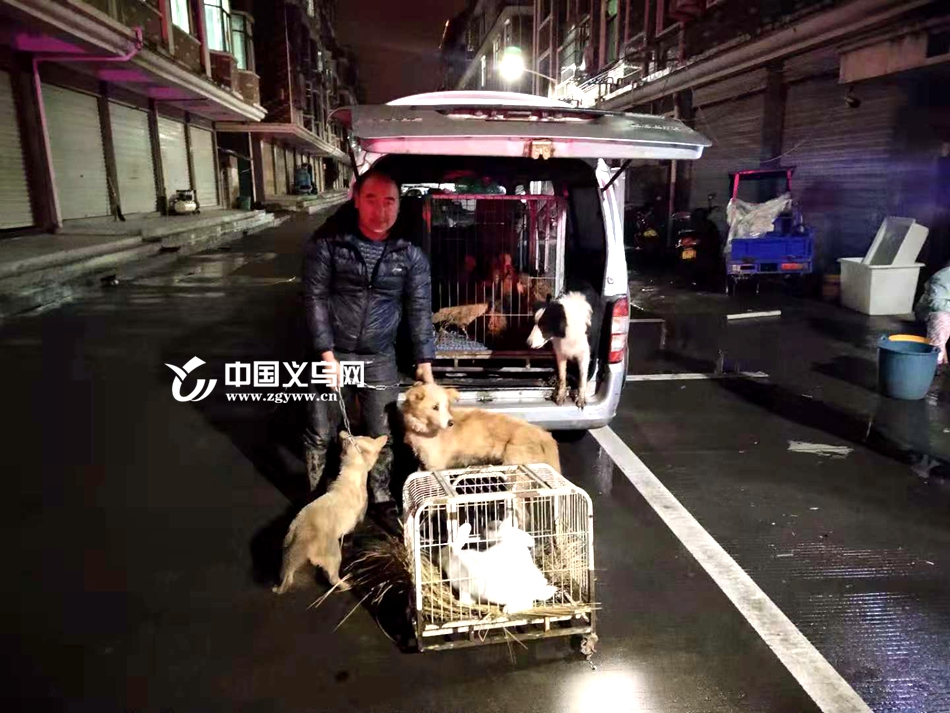 偷狗贼 义乌犬只 盗窃犬只_关于偷狗贼的新闻
