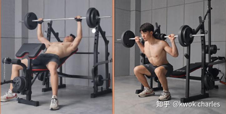 2025年天天彩免费大全 综合训练器