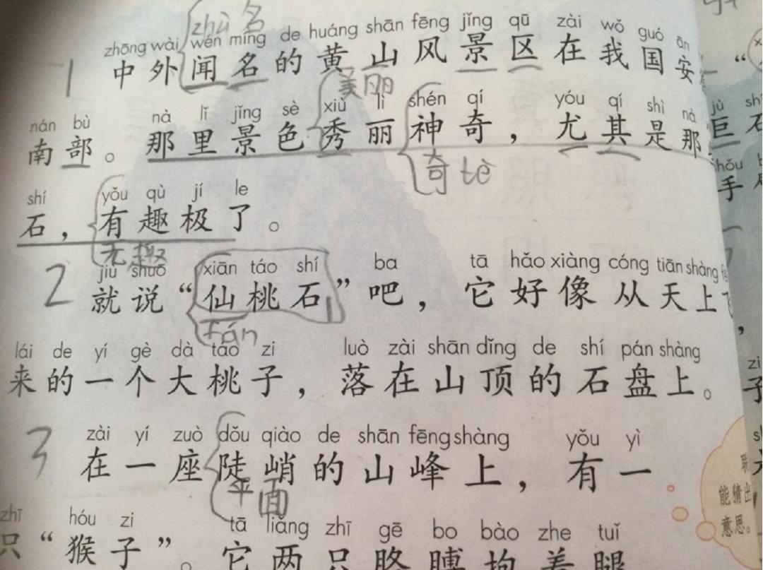 二年级语文学习方法_二年级上册语文练习2_小学语文阅读理解技巧